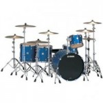 Birch Custom Absolute Birch Custom Absolute