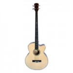 Electro-Acoustic Bass Guitars Electro-Acoustic Bass Guitars