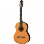 Electric/Acoustic Guitars - Nylon Strings Electric/Acoustic Guitars - Nylon Strings