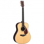 Acoustic Guitars - Western Acoustic Guitars - Western