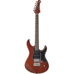 Electric Guitars - Full Body Electric Guitars - Full Body