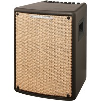 Ibanez Troubadour T80II
