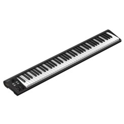 iCon Artist 88 - MIDI Keyboard