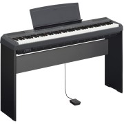 Yamaha P-45 Set