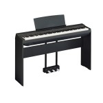 Stage Piano Stage Piano